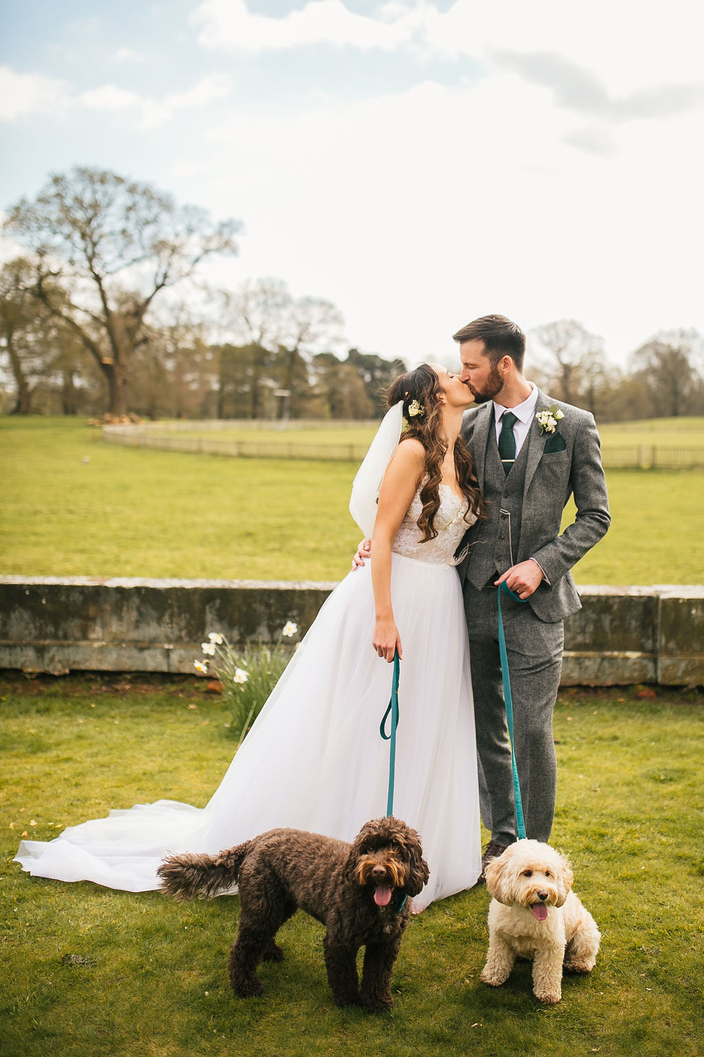 Wedding Dog Portraits