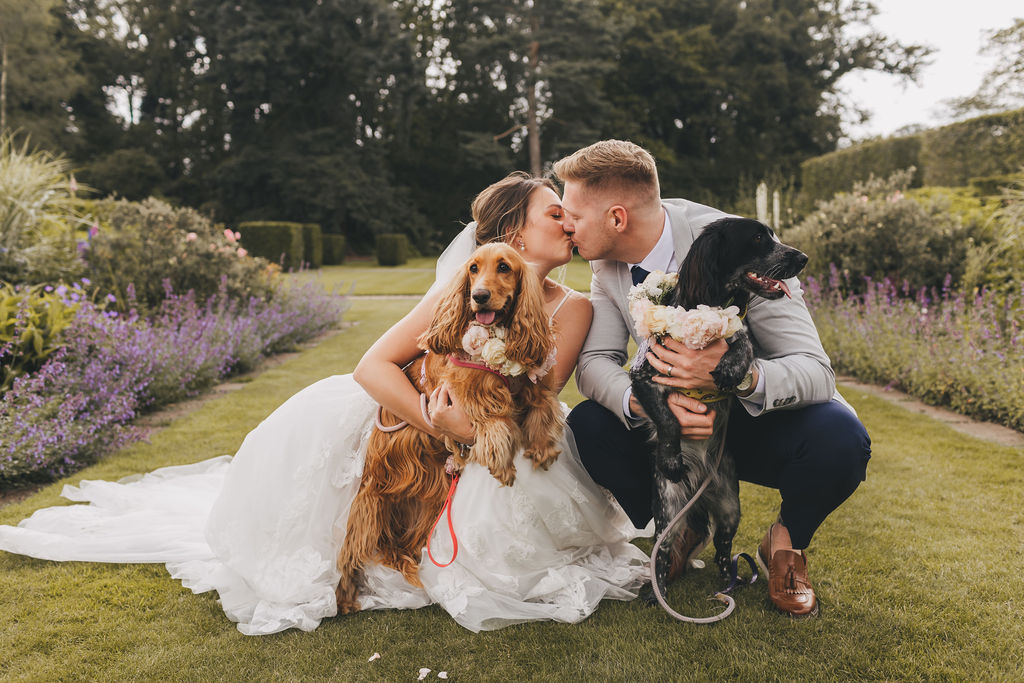 A bride in a frothy tulle wedding dress and a groom wearing a blue suit crouch down to cuddle their cocker spaniel pet dogs in a garden filled with flowers