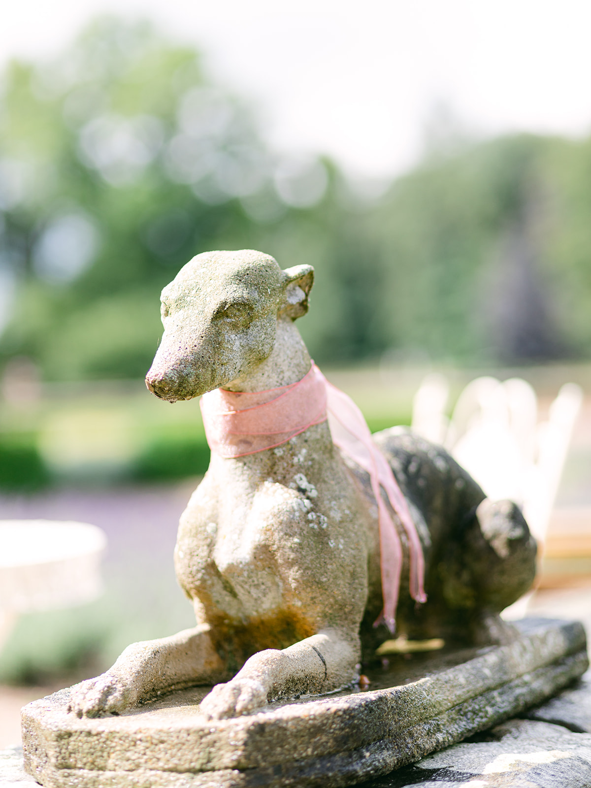 An old stone statue of a whippet dog in a lying position with a pink ribbon tied around its neck