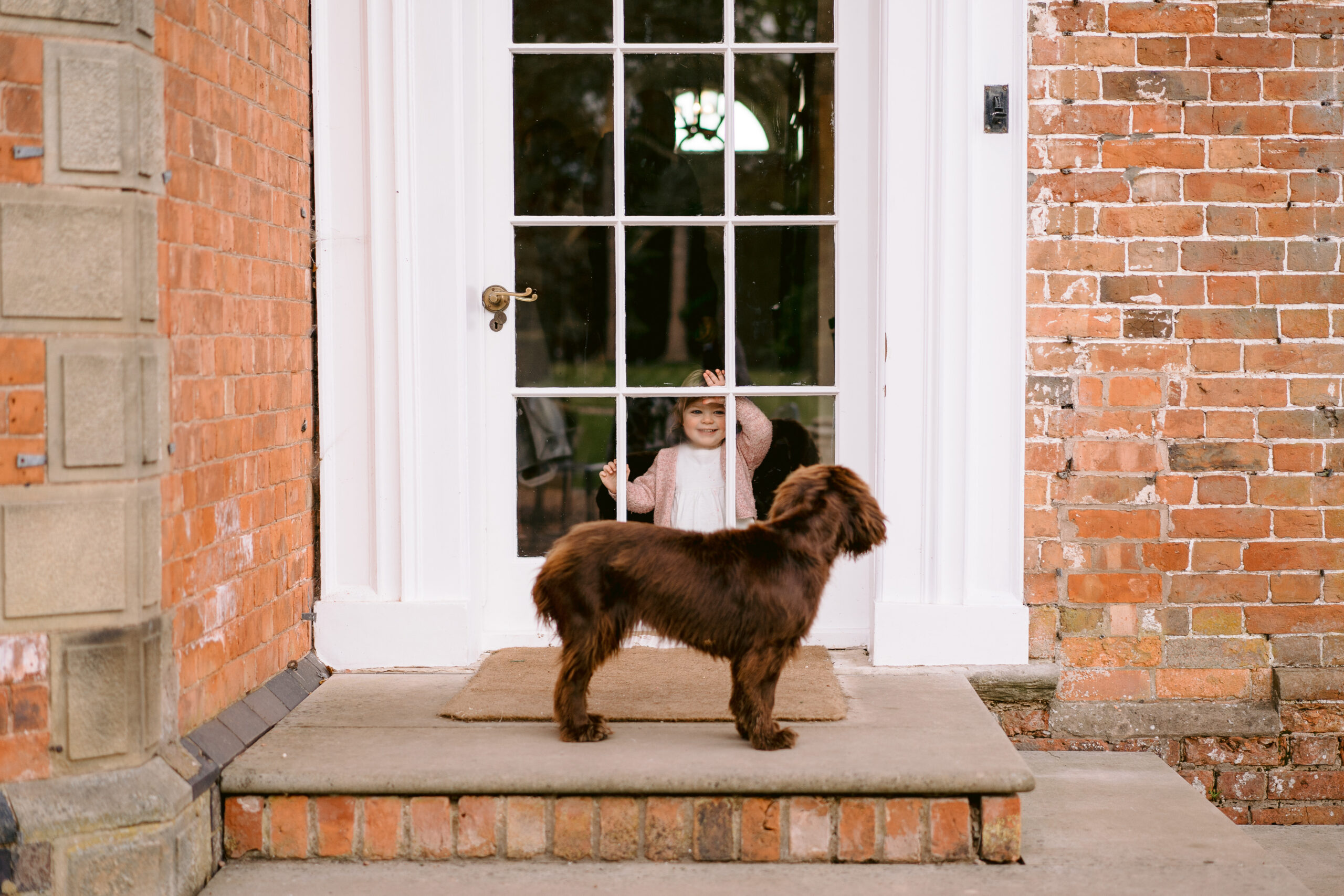 A chocolate brown cocker spaniel stands on an outside back step looking at a small child who is standing inside looking back at the dog