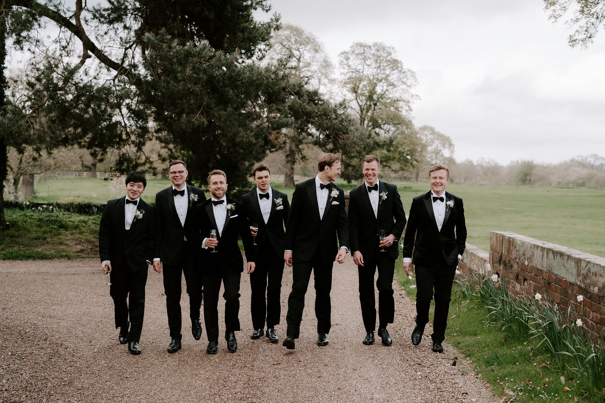 Seven men in black tie walk towards the camera on a gravel drive. There are fields in the background and daffodils line the edge of the drive
