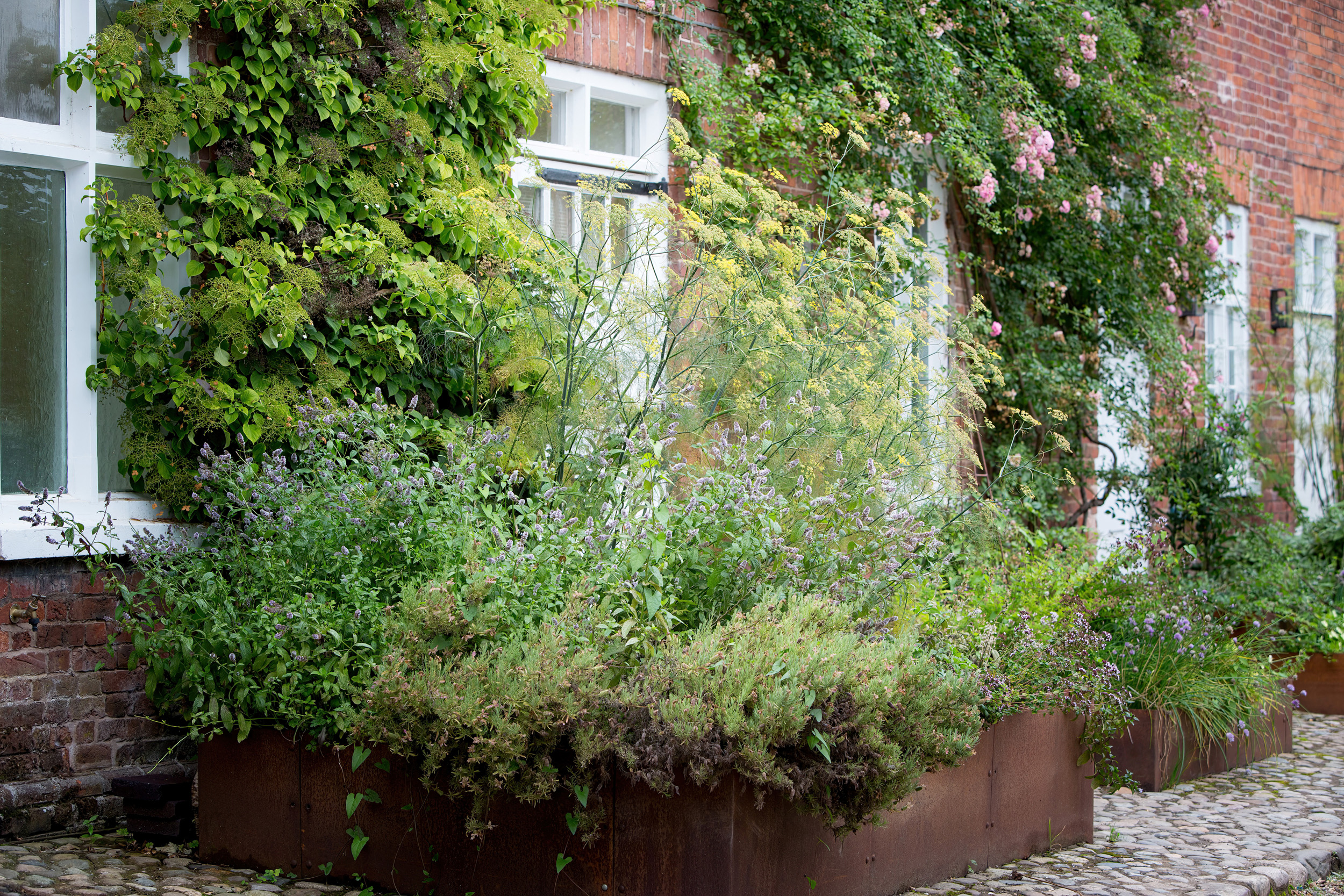 A mass of naturalistic planting in corten steel planters