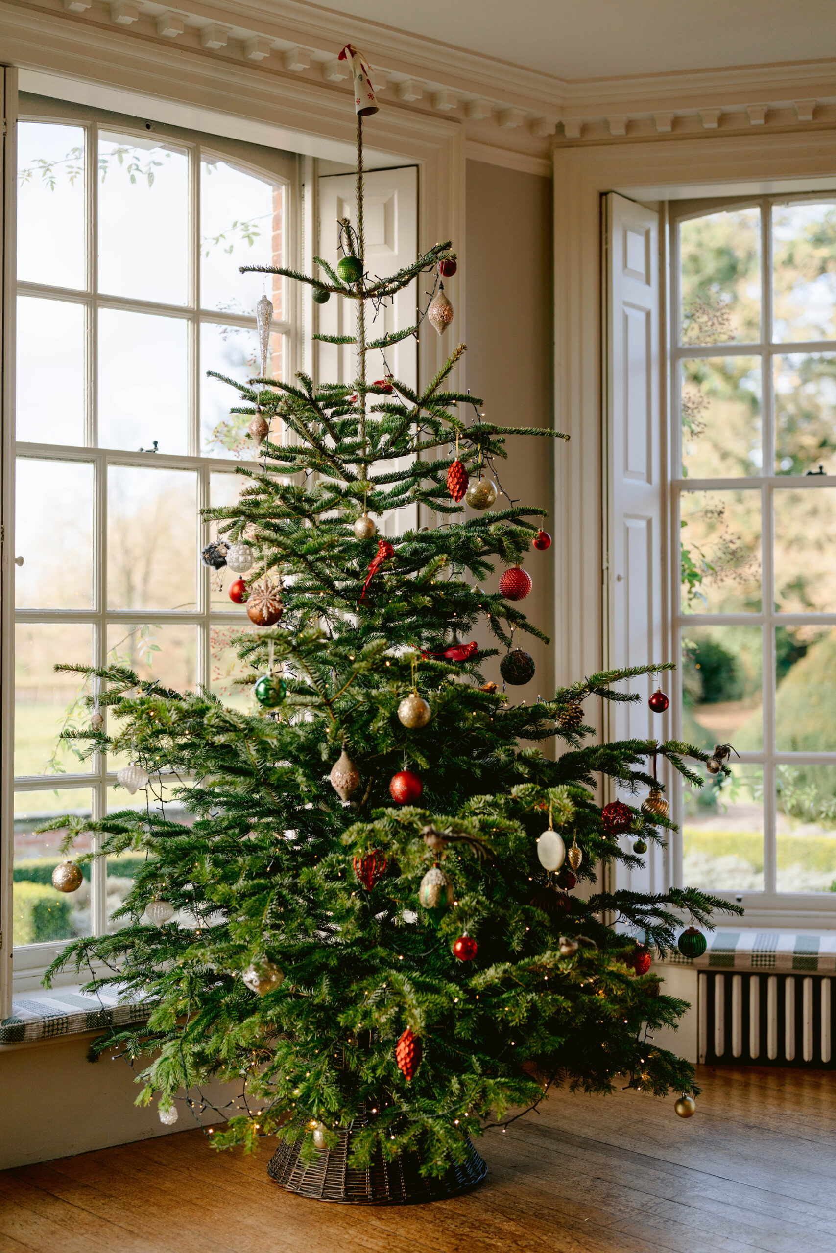 An image of a Christmas tree decked out in red and gold baubles with a backdrop of two Georgian sash windows with original shutters situated behind the tree looking out onto landscaped gardens.