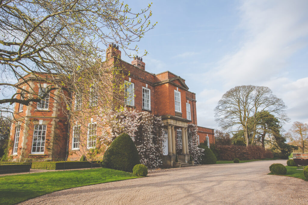 Magnolia in bloom covering the entirety of a red brick Georgian mansion