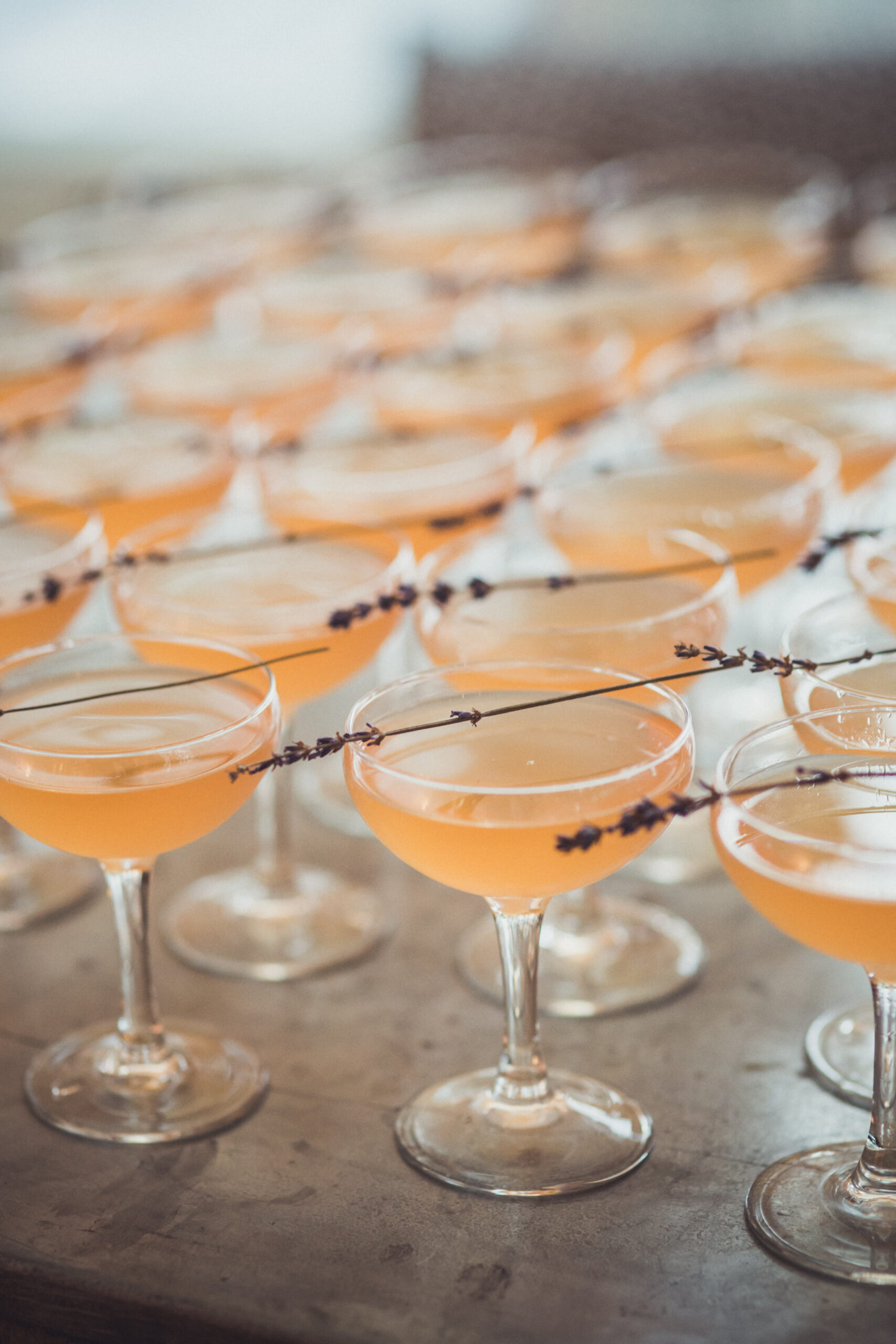 Cocktail Hour Tips from luxury wedding venue Iscoyd Park by Claire Penn Photography