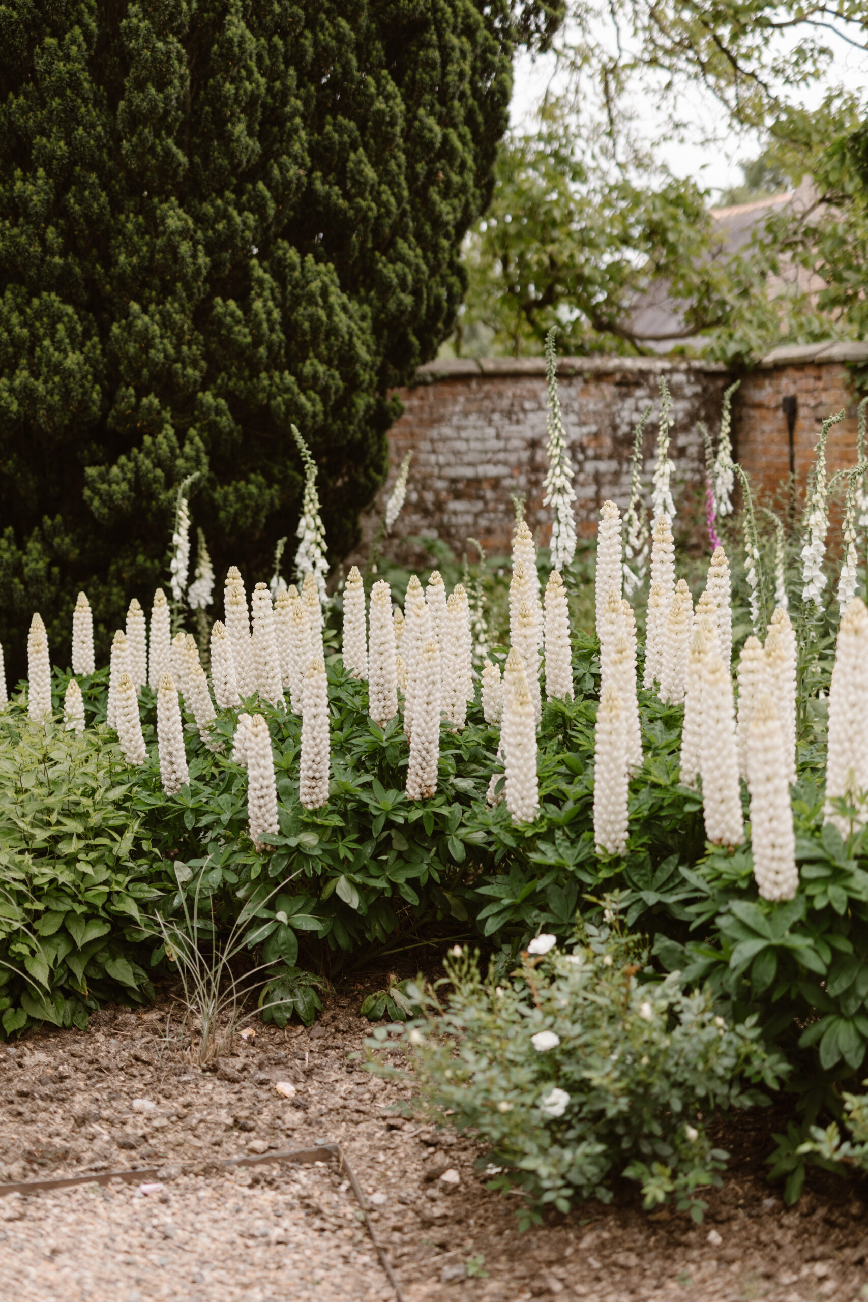 Soft peach meadow inspired Summer wedding at Iscoyd Park by Agnes Black Photography.