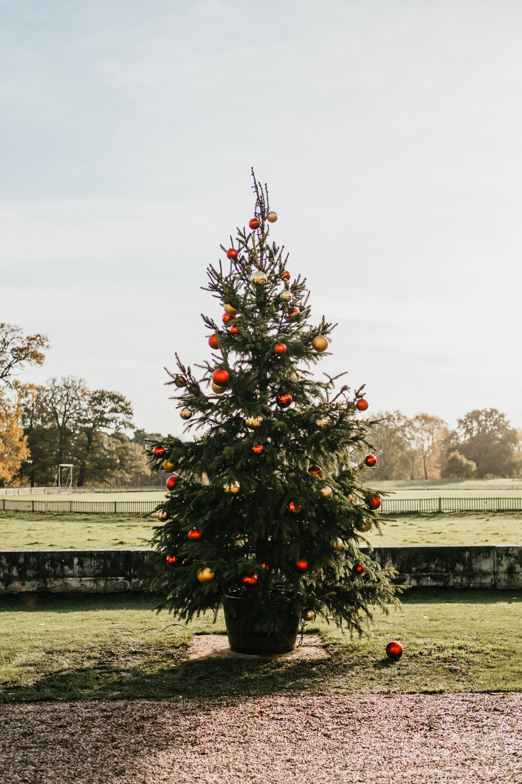 Looking for Winter Wedding inspiration. We show you how to create a Winter Wonderland Wedding at luxury venue Iscoyd Park.