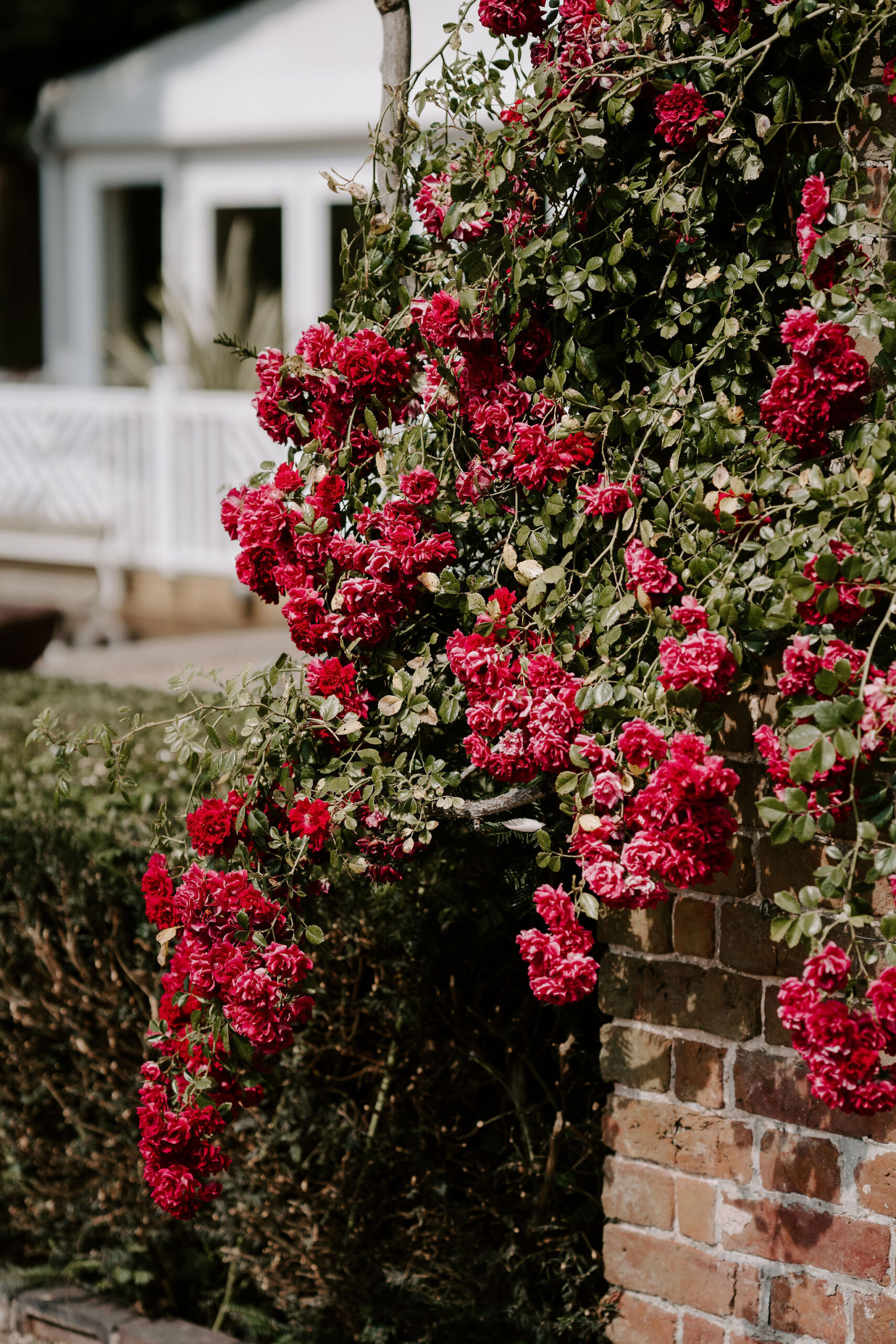 Summer elegance at luxury British wedding venue Iscoyd Park by Lauren Juliette Photography